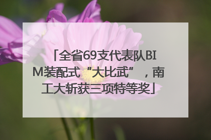 全省69支代表队BIM装配式“大比武”，南工大斩获三项特等奖