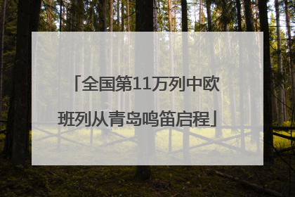 全国第11万列中欧班列从青岛鸣笛启程
