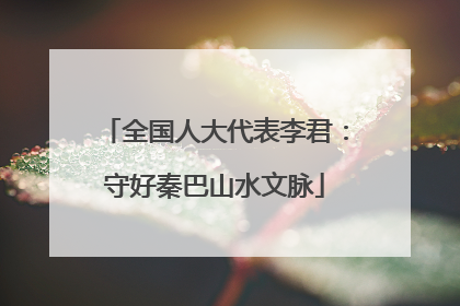 全国人大代表李君：守好秦巴山水文脉