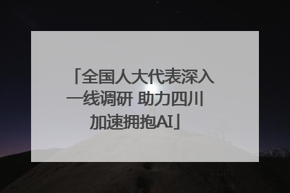 全国人大代表深入一线调研 助力四川加速拥抱AI