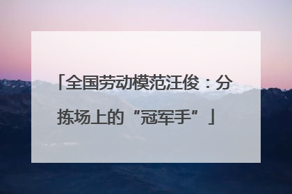 全国劳动模范汪俊：分拣场上的“冠军手”