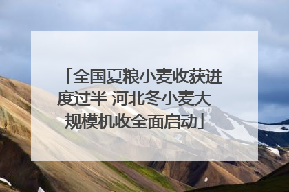 全国夏粮小麦收获进度过半 河北冬小麦大规模机收全面启动