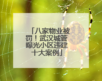 八家物业被罚！武汉城管曝光小区违建十大案例