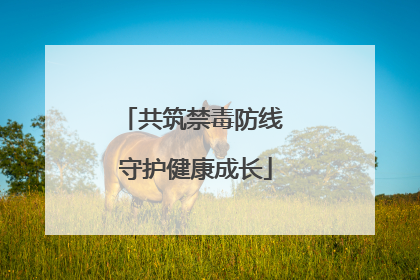 共筑禁毒防线 守护健康成长