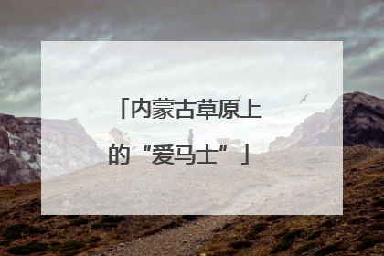 内蒙古草原上的“爱马士”
