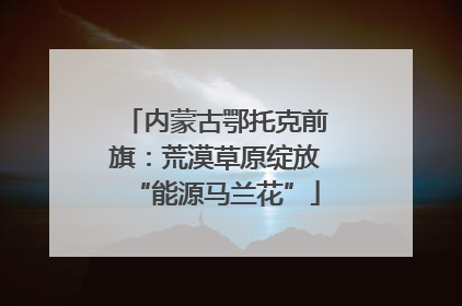 内蒙古鄂托克前旗：荒漠草原绽放“能源马兰花”