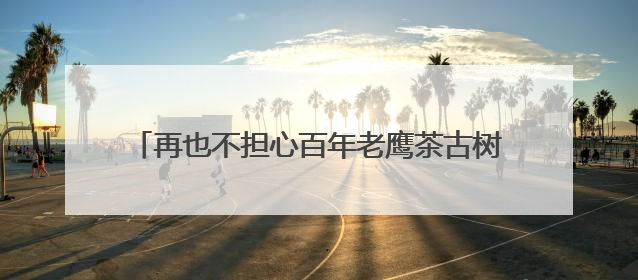再也不担心百年老鹰茶古树被砍去熬火锅底料了!四川开江启动珍稀古茶树专项保护