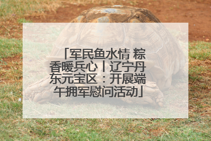 军民鱼水情 粽香暖兵心丨辽宁丹东元宝区：开展端午拥军慰问活动