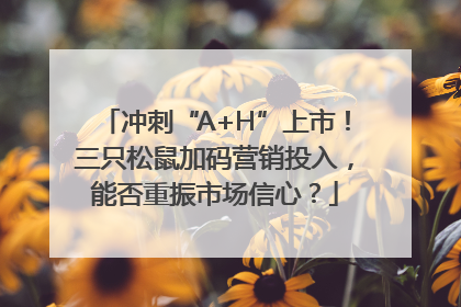 冲刺“A+H”上市！三只松鼠加码营销投入，能否重振市场信心？