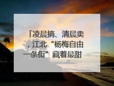 凌晨摘、清晨卖，江北“杨梅自由一条街”藏着最甜的烟火气