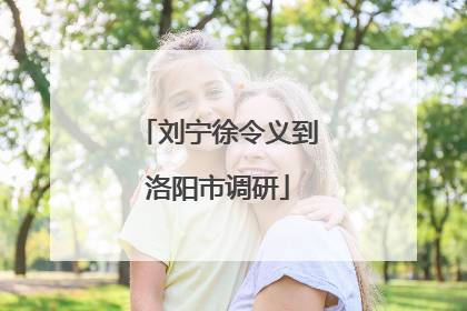 刘宁徐令义到洛阳市调研