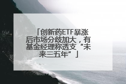 创新药ETF暴涨后市场分歧加大，有基金经理称透支“未来三五年”