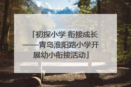 初探小学 衔接成长——青岛淮阳路小学开展幼小衔接活动