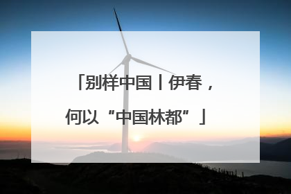 别样中国丨伊春，何以“中国林都”