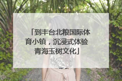 到丰台北粮国际体育小镇，沉浸式体验青海玉树文化