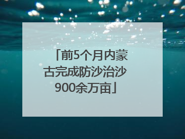 前5个月内蒙古完成防沙治沙900余万亩