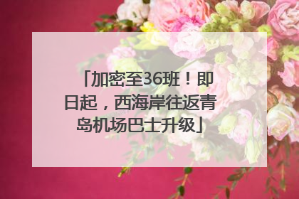 加密至36班！即日起，西海岸往返青岛机场巴士升级