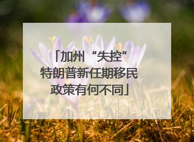 加州“失控” 特朗普新任期移民政策有何不同