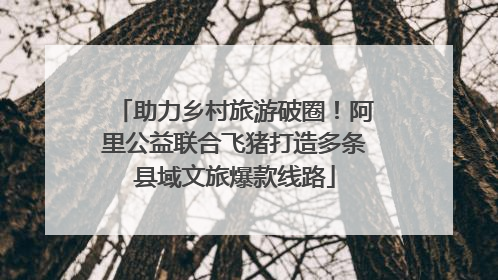 助力乡村旅游破圈！阿里公益联合飞猪打造多条县域文旅爆款线路