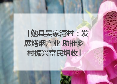 勉县吴家湾村：发展烤烟产业 助推乡村振兴富民增收