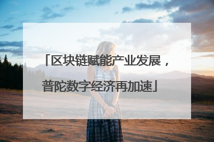 区块链赋能产业发展，普陀数字经济再加速