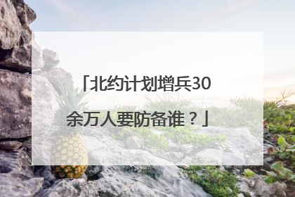 北约计划增兵30余万人要防备谁？