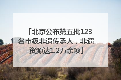 北京公布第五批123名市级非遗传承人，非遗资源达1.2万余项