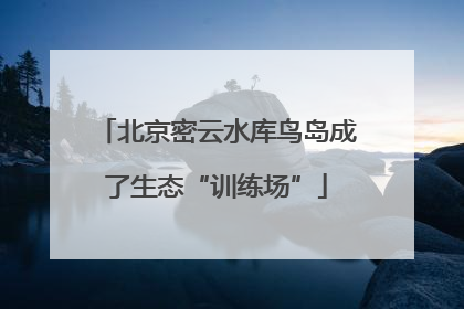 北京密云水库鸟岛成了生态“训练场”