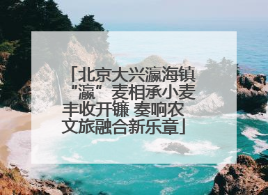 北京大兴瀛海镇“瀛”麦相承小麦丰收开镰 奏响农文旅融合新乐章