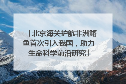 北京海关护航非洲鳉鱼首次引入我国，助力生命科学前沿研究