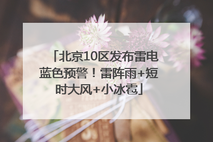 北京10区发布雷电蓝色预警！雷阵雨+短时大风+小冰雹