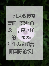 北大教授赞誉的“贵州鱼龙”，是这样的｜2025年生态文明贵阳国际论坛
