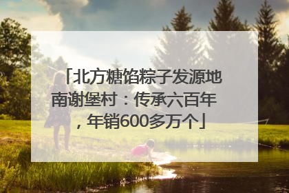 北方糖馅粽子发源地南谢堡村：传承六百年，年销600多万个