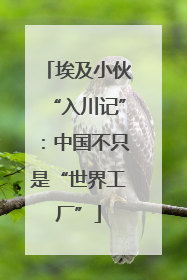 埃及小伙“入川记”：中国不只是“世界工厂”
