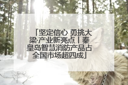 坚定信心 勇挑大梁·产业新亮点丨秦皇岛智慧消防产品占全国市场超四成