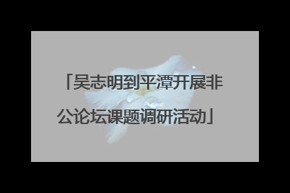 吴志明到平潭开展非公论坛课题调研活动