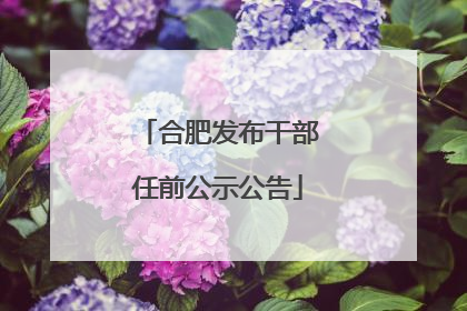 合肥发布干部任前公示公告