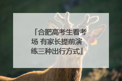 合肥高考生看考场 有家长提前演练三种出行方式
