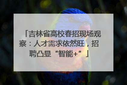 吉林省高校春招现场观察：人才需求依然旺，招聘凸显“智能+”