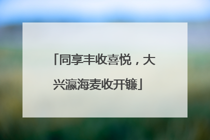 同享丰收喜悦，大兴瀛海麦收开镰
