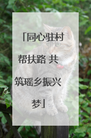 同心驻村帮扶路 共筑瑶乡振兴梦