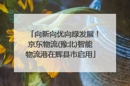 向新向优向绿发展！京东物流(豫北)智能物流港在辉县市启用