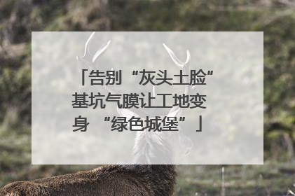 告别“灰头土脸” 基坑气膜让工地变身 “绿色城堡”