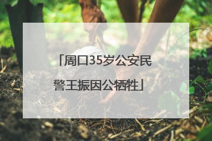 周口35岁公安民警王振因公牺牲