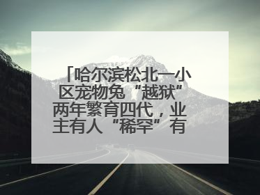 哈尔滨松北一小区宠物兔“越狱”两年繁育四代，业主有人“稀罕”有人忧，专家提醒