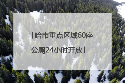 哈市重点区域60座公厕24小时开放