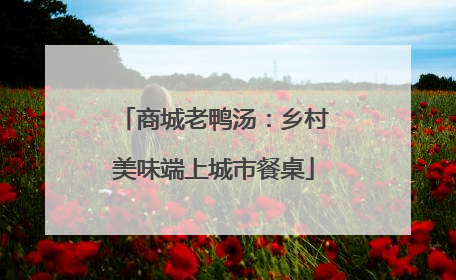 商城老鸭汤：乡村美味端上城市餐桌