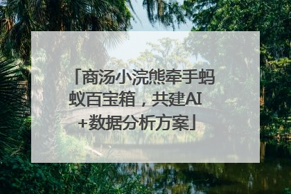 商汤小浣熊牵手蚂蚁百宝箱，共建AI+数据分析方案