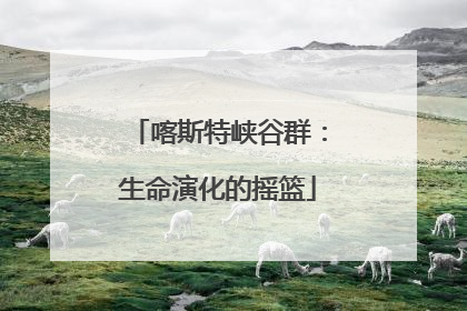 喀斯特峡谷群：生命演化的摇篮