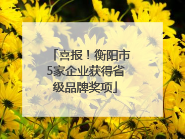 喜报！衡阳市5家企业获得省级品牌奖项